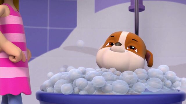 File:PAW.Patrol.S01E15.Pups.Make.a.Splash.-.Pups.Fall.Festival.720p.WEBRip.x264.AAC 102336.jpg