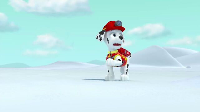 File:PAW.Patrol.S02E07.The.New.Pup.720p.WEBRip.x264.AAC 784884.jpg