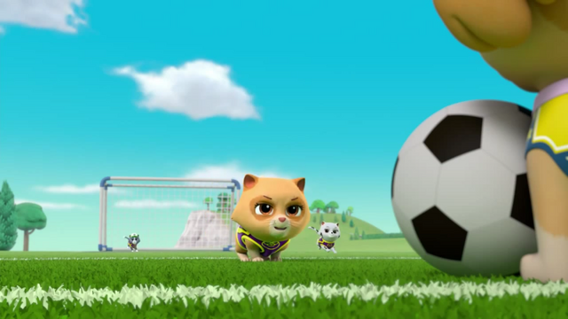 File:Pups Soccer 20.png