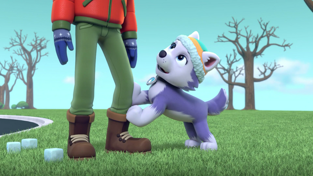 File:Screenshot 2016-12-28-20-42-29.png