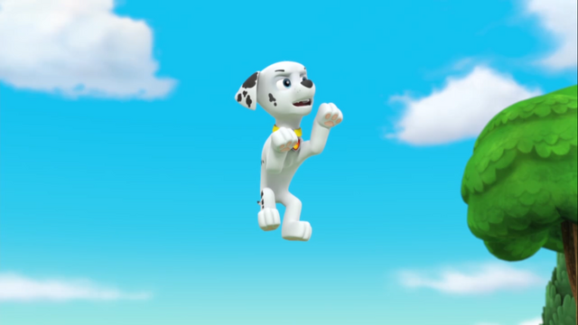 File:Marshall image.png