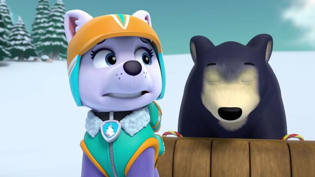 File:Sleepwalking Bear 27.jpg