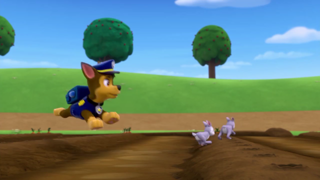 File:Screenshot 2016-12-17-22-19-40.png