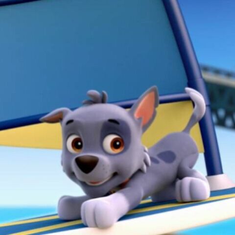 File:Rocky looking cute.jpg
