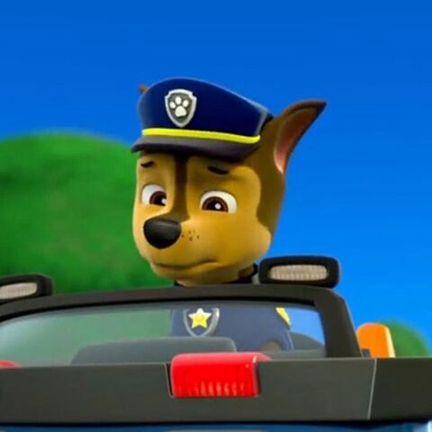 File:14550104 360454187629076 2046199119340371968 n.jpg
