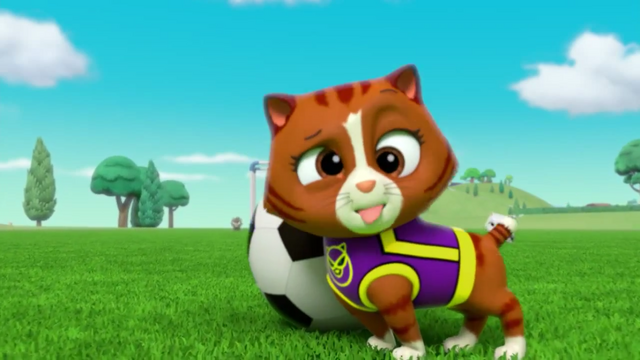 File:Pups Soccer 25.png