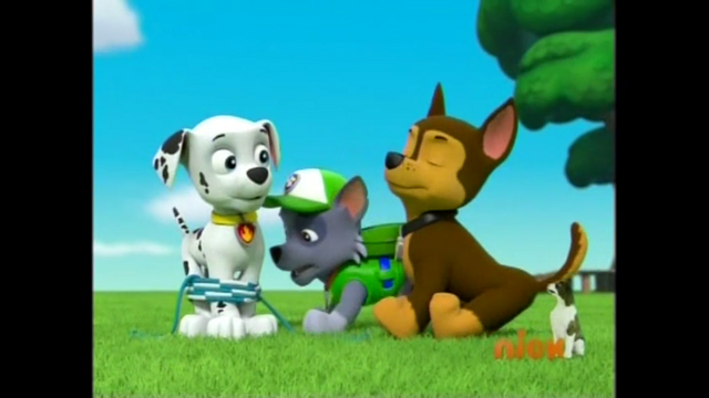 File:Pp2613.png