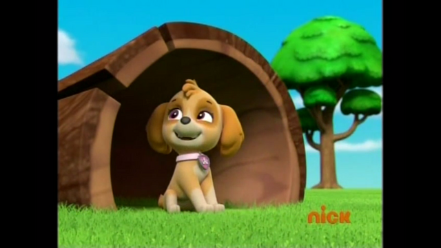 File:Pp509.png
