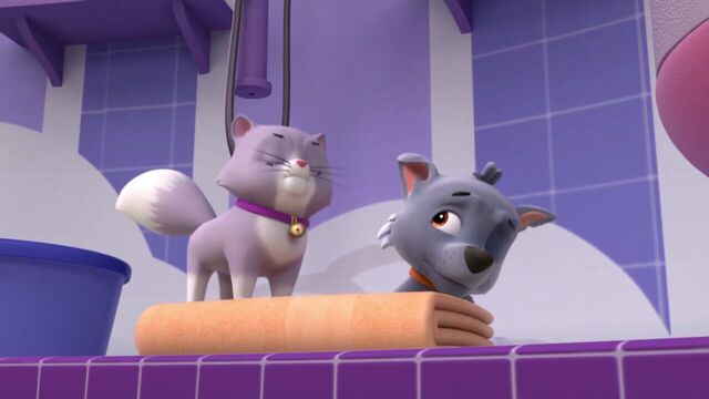 File:PAW.Patrol.S01E15.Pups.Make.a.Splash.-.Pups.Fall.Festival.720p.WEBRip.x264.AAC 115549.jpg