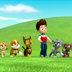 friendship day paw patrol