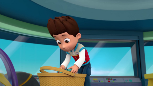 File:Ryder-Fireworks 1.png