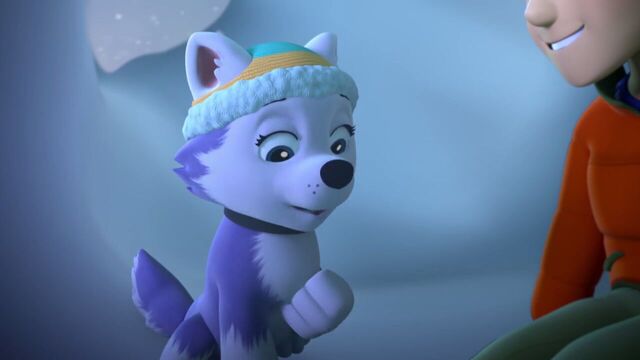 File:PAW.Patrol.S02E07.The.New.Pup.720p.WEBRip.x264.AAC 581181.jpg