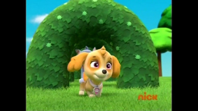 File:Pp507.png