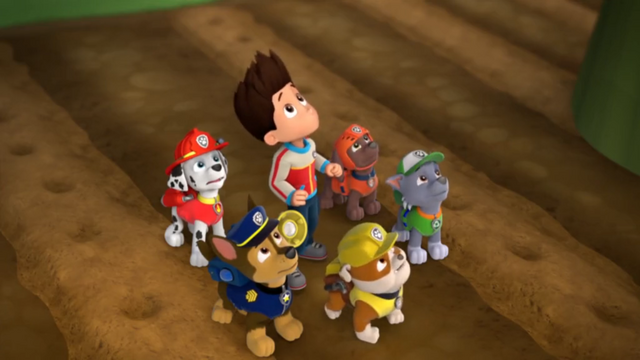 File:Beanstalk (Pups looking up).png