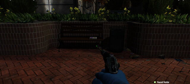 File:Framing110.jpg
