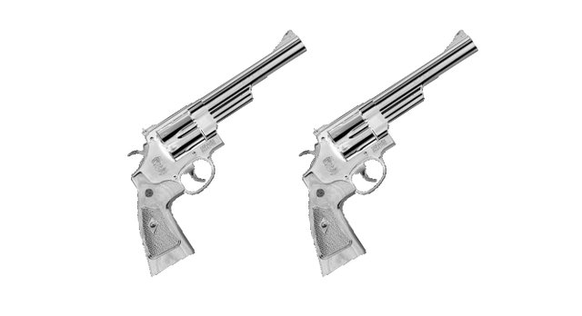 File:S&WM29-Akimbo.png