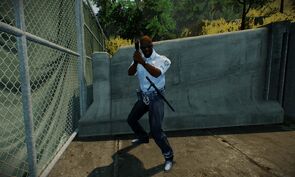 Casino heist diamonds