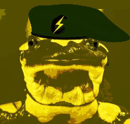File:Salamander.jpg