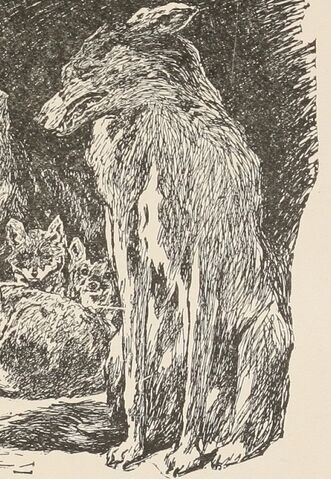 File:Fatherwolf.jpg