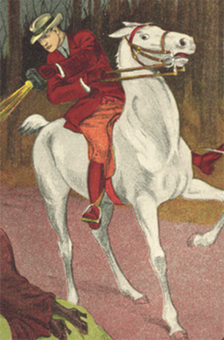 File:Night-hawk.png