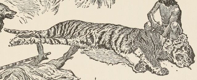 File:Sherekhan.jpg