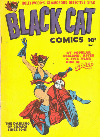 File:Black Cat -1.jpg