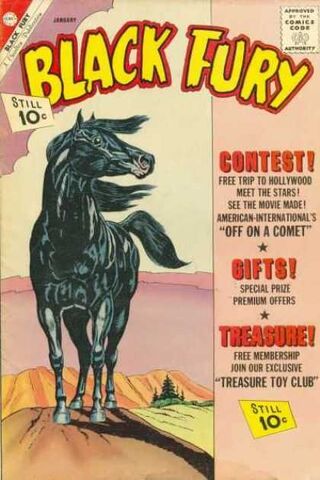 File:Black fury horse.jpg
