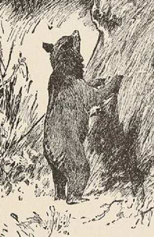 File:Baloo.jpg