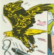 Eagleyankeeeagle