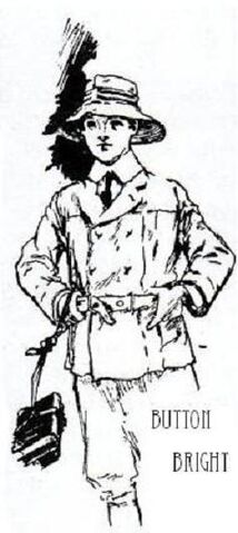 File:Button-Bright.jpg