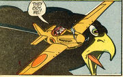 Golden eagle's plane