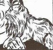 Parie Purr