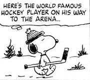 Hockey Player
