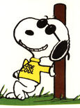 Joe-cool-1-