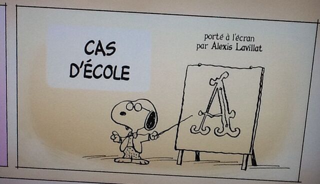 File:Casdecole.jpg