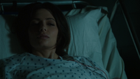 POI 0413 Shaw