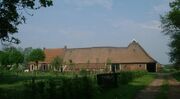 DeHorst21.jpg
