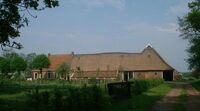 DeHorst21.jpg