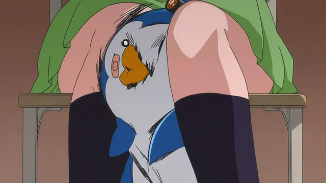 File:Penguin btw Ringo legs.jpg