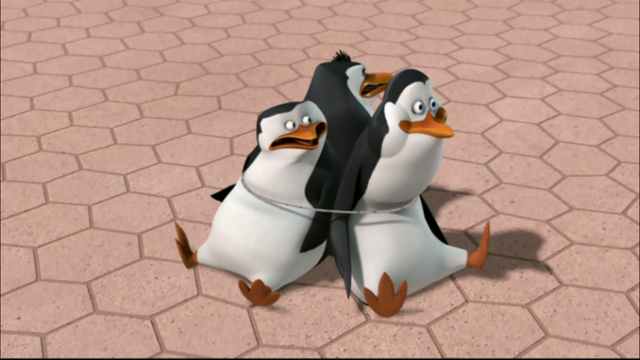 File:Get-Fresh-Air-While-You-Can-penguins-of-madagascar-24600391-1366-768.png