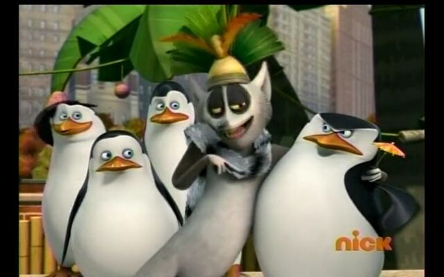 File:Rico-and-his-new-crush-penguins-of-madagascar-32391136-1280-800.jpg