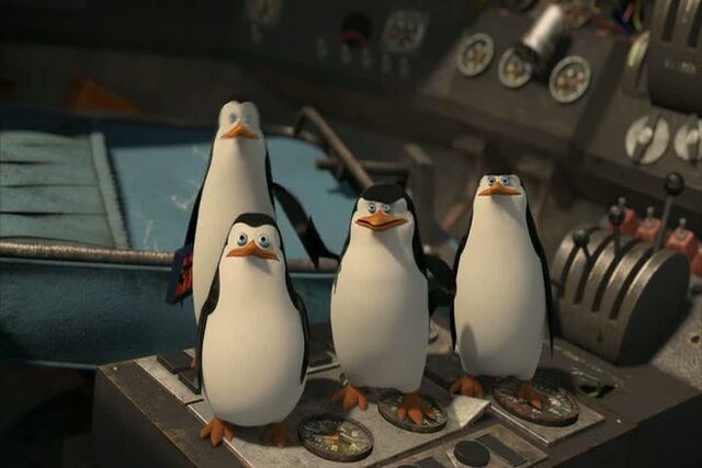 File:PenguinsOnPlane.jpg