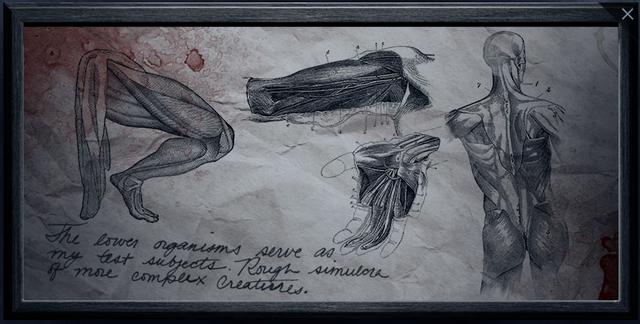 File:Penny-Dreadful-image-penny-dreadful-36731045-806-408.png