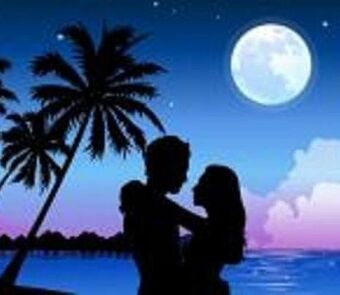 Lovers paradise island stars water trees ocean-hd-wallpaper-497997
