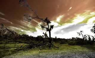 Wasteland-for-apology-web