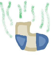 Tobias sock