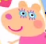 Shirley Sheep