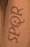 SPQR Reyna