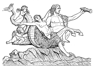 Triton Néréide.png