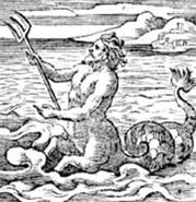 Images1.jpg